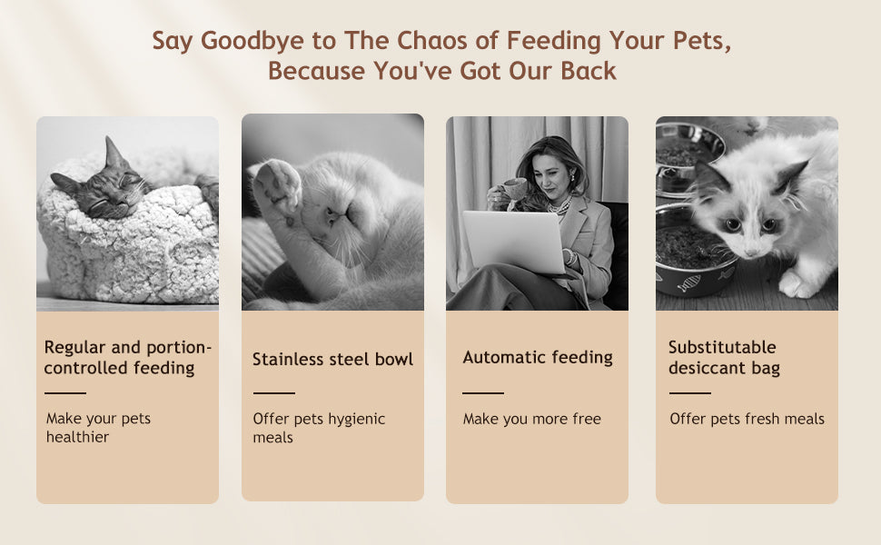 VOLUAS Automatic Cat Feeders, Pet Food Dispenser for Dry Food, Timed Cat Feeder with Desiccant Bag, Programmable Portion Size Control 4 Meals Per Day, 10s Voice Recorder
