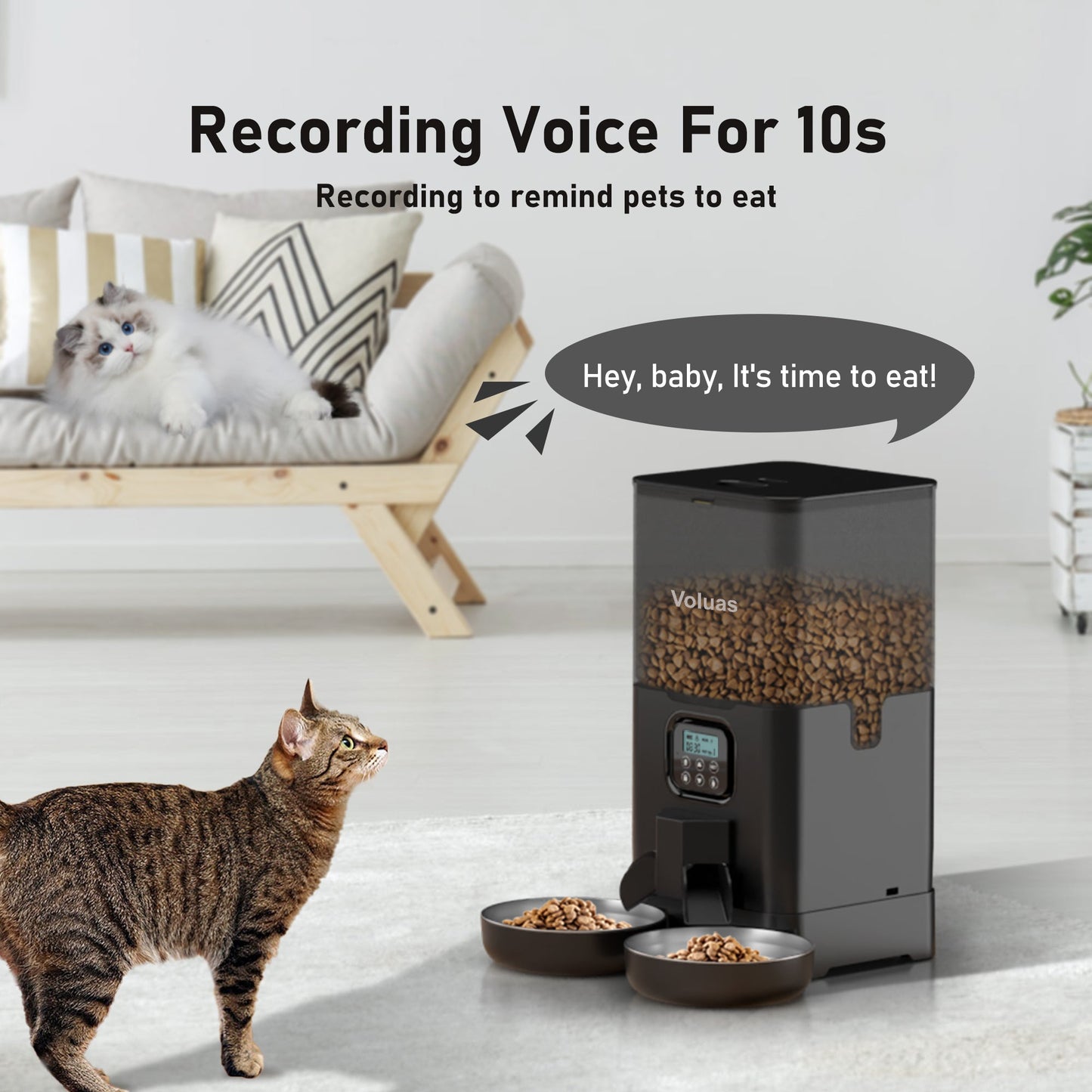 Voluas Automatic Cat eeders for Two Cats, Double Pet Feeder with 2 StainessSsteelBowls,6L Tined Cat Feeder with Memory Function,PetFood Dst
