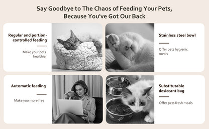 VOLUAS Cat Dry Food Dispenser with Timer, Automatic Cat Feeders with Desiccant Bag, Programmable Portion Size Control 4 Meals Per Day, 10s Voice Recorder
